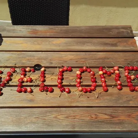 فندق مبيت وإفطار Ca De Rusitta